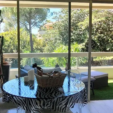 Appartement Centre Beau 2 Pieces 50 M2 Terrasse A 12 Min Plages Et Palais Au Calme Cannes