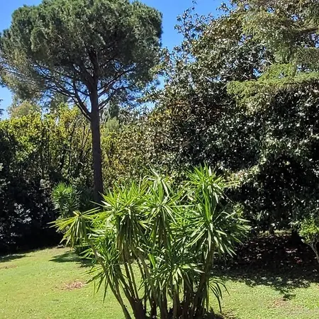 Centre Beau 2 Pieces 50 M2 Terrasse A 12 Min Plages Et Palais Au Calme Appartement *